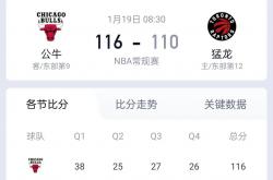 半岛体育电竞-包含猛龙队五局激战，总决赛首场比赛如何收官？的词条