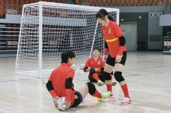 半岛体育app下载地址-包含足球赛场上，女队多点开花击败对手的词条